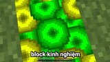 Minecraft nhưng mọi thứ Chạm Vào biến thành Kinh Nghiệm