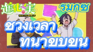 [The Fruit of Evolution]รีมิกซ์ |ช่วงเวลาที่น่าขบขัน