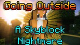 A Hypixel Skyblock Nightmare, Imagine Going Out?! | Furball IRL (NS Outfield)