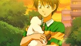 [Net King｜Echizen Ryoma & Karubin] เจ้าชายน้อยและแมวของเขา｜ขอมอบความอ่อนโยนให้กับคุณ