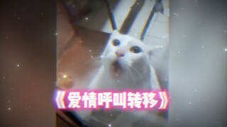 妈妈，这个男人真没用