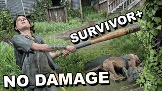 The Last of Us 2 - "WLF & DOGS" Ellie Aggressive Gameplay (Survivor+ / No Damage)