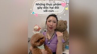 Những thực phẩm KHÔNG NÊN cho cún ăn fyp chánghugo boo chiase tip chamsocthucung cothebanchuabiet thucung petlover cutedog