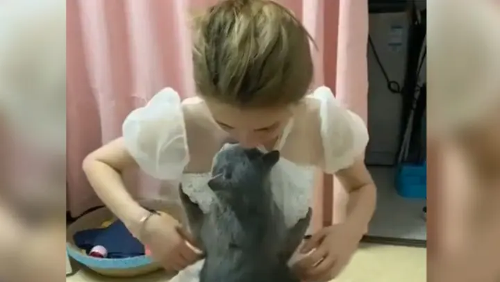 [Animals]Cats' ferocious moment