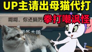 UP主匹配练母猫竟被小学生嘲讽，请出真猫代打！