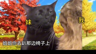 【猫meme】关于我小时候强制和我妹玩sm并且同化我妹这件事…