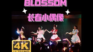 blossom 长春地下偶像 东北话CALL 4K50P