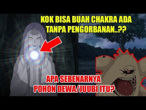 Kenapa Kaguya Bisa Menumbuhkan Buah Tanpa Tumbal Seorang Otsutsuki.?? Ini Penjelasannya..