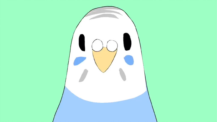 Life Goes On, But Some Budgies
