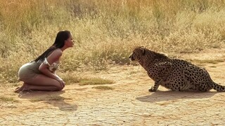 Animals Reunited With Owners After YEARS !