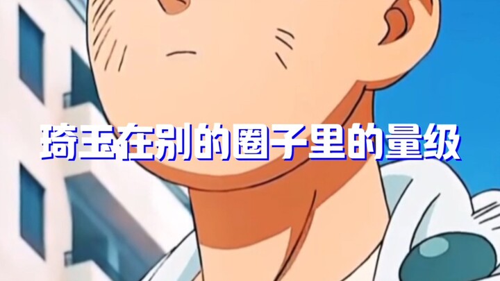 别的圈子眼里的琦玉的量级