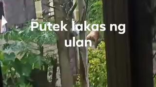 lakas ng ulan