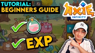 AXIE INFINITY EXP AND SLP FARMING GUIDE | TAGALOG