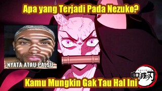 Kamu Mungkin Gak Tau Hal Ini, Nezuko Bukan Iblis Biasa #BicarAnime