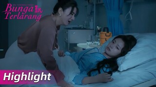 Highlight EP19 Apakah cinta lebih penting dari hidup? | The Forbidden Flower | WeTV【INDO SUB】