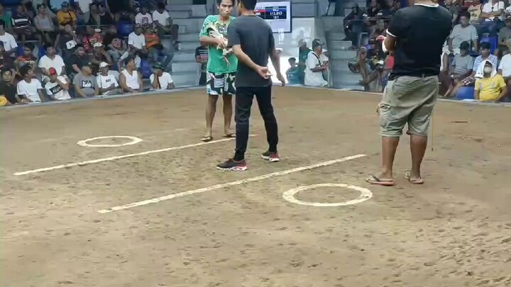 Entry 12 Talisay 1st win 2hits ulotan (champion)