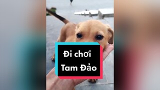 Cứ thỉnh thoảng kênh mất đ.ề xu.ất mọi người chẳng thấy videos nhà tớ. Giúp tớ 1 ti.m 1 co.mment nào. cunyeucuadua chó chócon chókhôn chócute