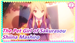 The Pet Girl of Sakurasou| Never regret love Shiina Mashiro and will love forever!_2