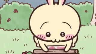 The popularity ranking of Chiikawa characters in Japan revealed!