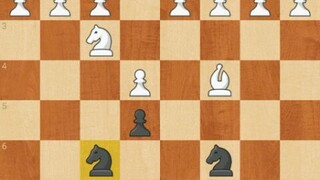 Italian Game & Evans Gambit