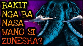 BAKIT NA SA WANO SI ZUNESHA? (THEORY)  | One Piece Tagalog Analysis