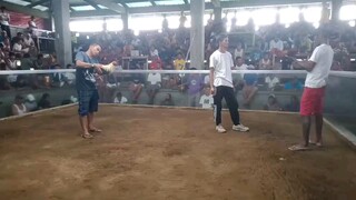 winner c grey