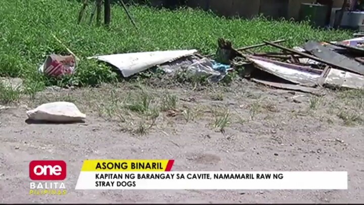 Barangay Captain, namamaril daw ng mga aso | Lalaki, arestado dahil minulestiya ang isang taong gula