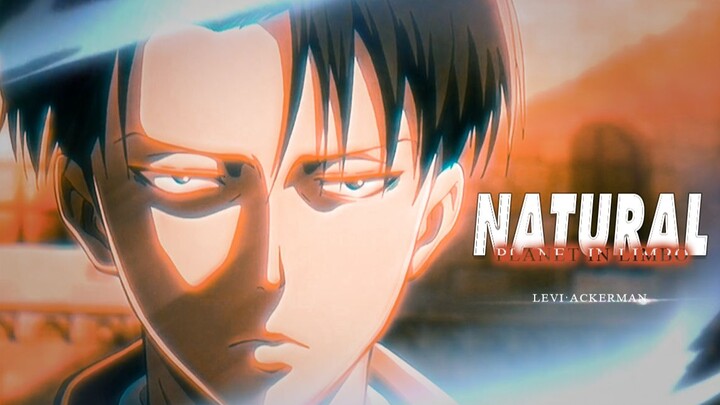Devote Your Heart To Levi!