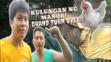 Kulungan ng manok, Grand turn over! | Tenrou21
