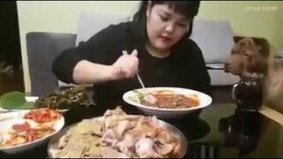 กินแหลกเกาหลี - ซูบินโชว์กินจุ กินจนน้องหมามองตาม