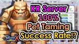 [ROX] Pet System: SEA vs KR Server Comparison and Why Korea Server Pet System is Better | KingSpade