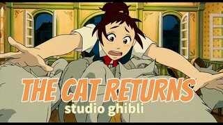 review anime || the cat returns {studio ghibli}