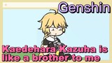 Kaedehara Kazuha is like a brother to me