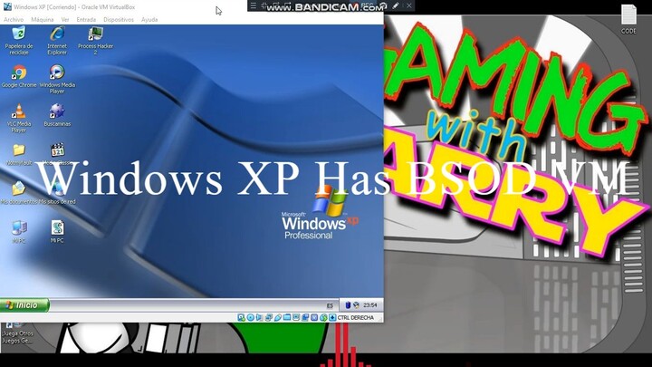 Windows XP Has BSOD VM