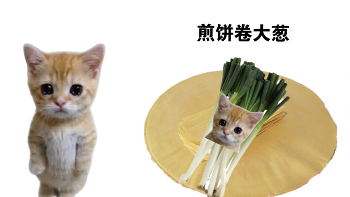 可颂猫，但是煎饼卷大葱