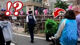 (JAPAN) VS Police...?? Bushman prank at "Nakameguro Sakura Matsuri"