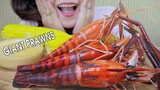 ASMR EATING GIANT PRAWNS WITH CHEESE SAUCE , EATING SOUNDS | LINH-ASMR
