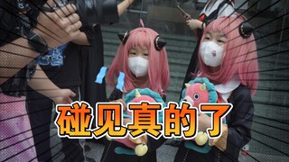 漫展碰见真的了!