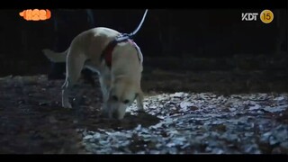 Dog Knows Everything (2024) | Korean Drama | Official Teaser 2