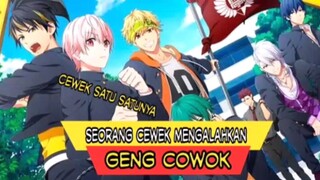 Cewek Diatas Segalanya [ kenka banchou otome ]