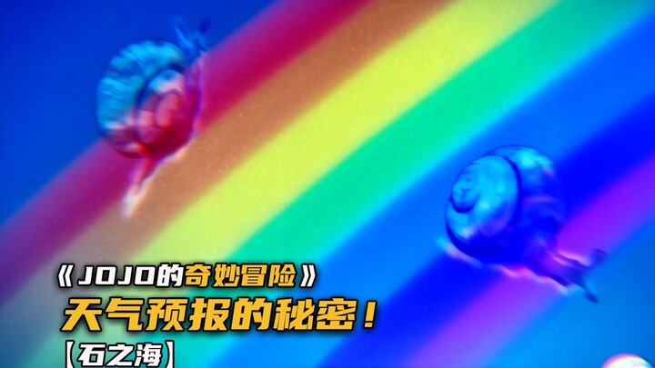天气预报变身蜗牛的秘密揭晓！