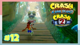 💥 Fallen Tiny Tiger - Crash Bandicoot N. Sane Trilogy | 2nd Game #12 (Nintendo Switch/No Commentary)