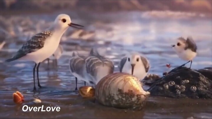 OverLove_Donald_Duck ลูกเป็ดน่ารัก Cute Duck Song/2021 Bird Piper : ลูกเป็ดขี้เหร่