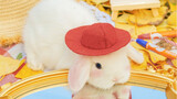 "Betina Xiang\Orange in Orange\Rabbit Anthropomorphic\" Adikku tidak bisa makan kelinci