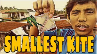 Flying the SMALLEST KITE | VLOG #18