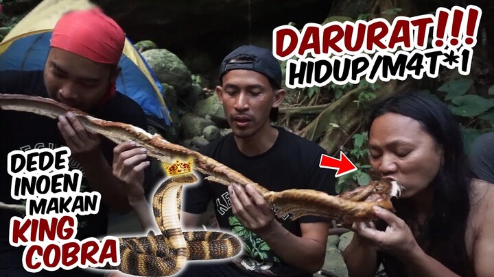 Situasi DARURAT..!!! @dede inoen Terpaksa makan KING COBRA..!!!