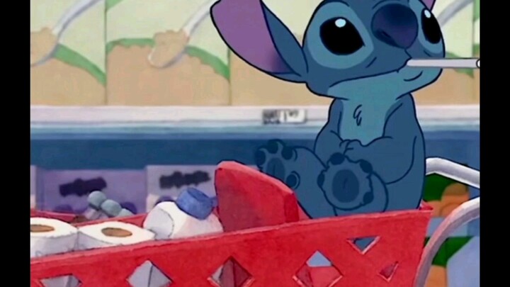 Stitch là chú chó dễ thương nhất thế giới!