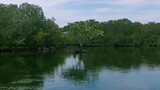 Calming/ Beautiful Tourist Destinations in Mindanao: Video #1  Mangrove Lagoon at Zamboanga City 🤎