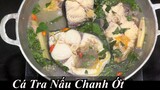Cá Tra Nấu Chanh Ớt lá quế ✅ món ngon miền tây Cá Tra lâu năm nqmt cook nhà quê miền tây