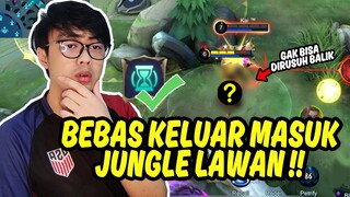 COUNTERNYA HERO HERO RUSUH, TIGREAL CUMA BISA BENGONG DOANG - Mobile Legends